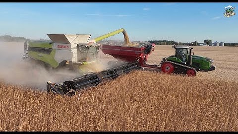 Soybean Harvest 2025 near Hollansburg Ohio