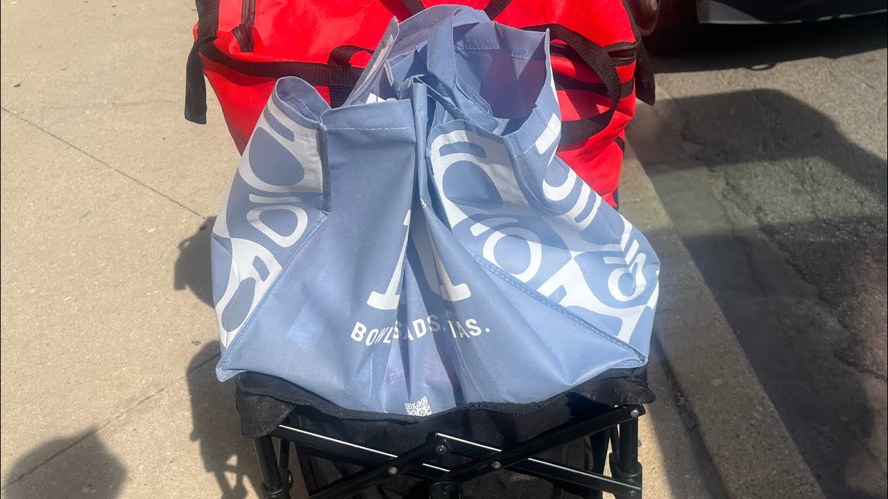 An Entrepreneurial Diary (Shamika) is live! Riding into Downtown Chicago/Catering PickUp