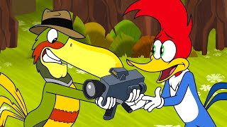 Woody's Wildlife Show! | Woody Woodpecker