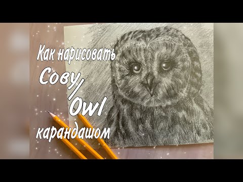 Как нарисовать сову карандашом/Туториал по рисованию/Draw an Owl