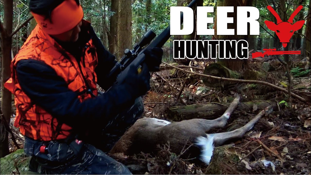 忍び猟 単独猟のコツの解説 初級 鹿をしとめる狩猟映像 Youtube