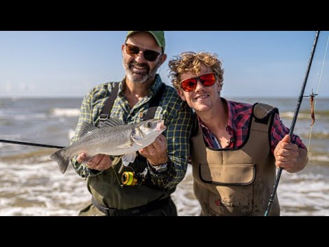 Video: hatchetfish