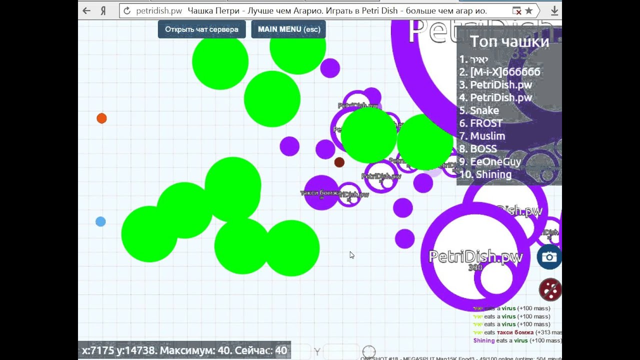 петри играть