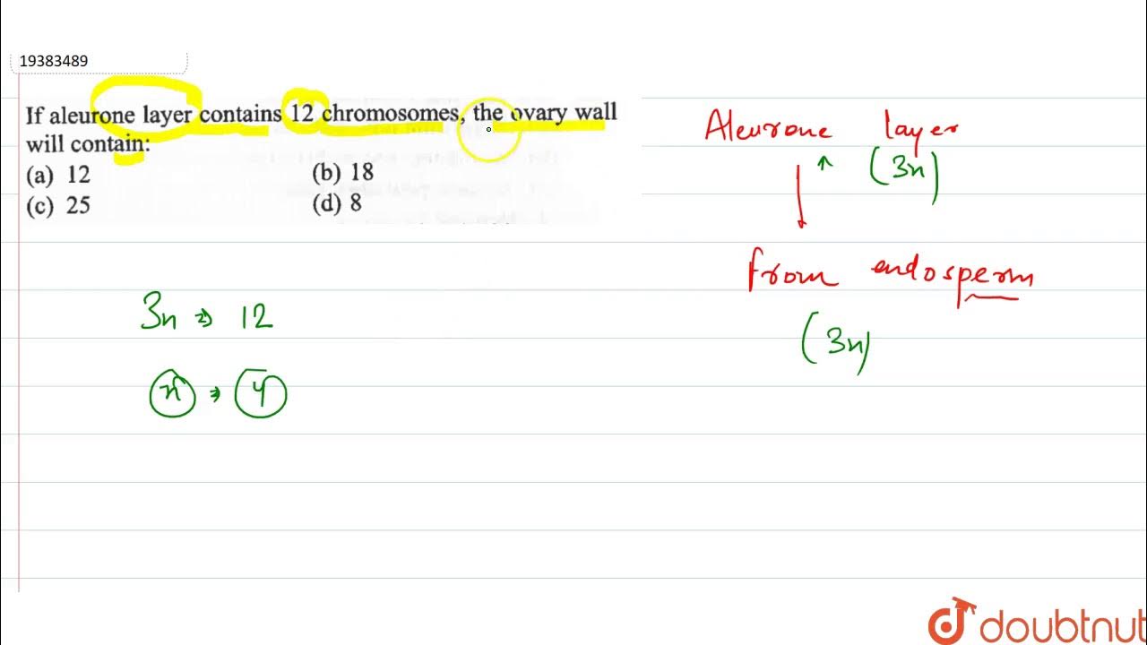 If aleurone layer contains 12 chromosomes, the ovar wall will contain