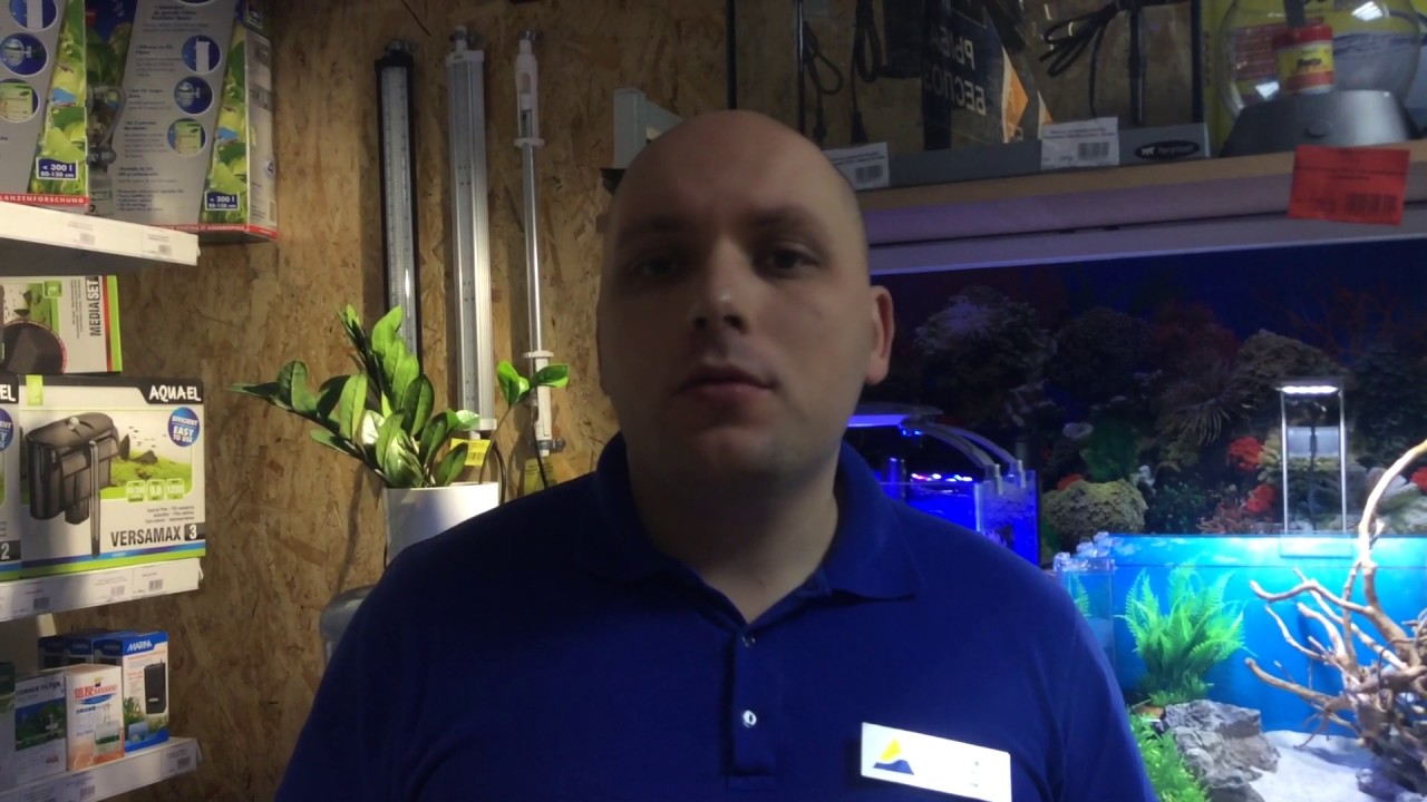 Как купить готовый аквариум? - YouTube