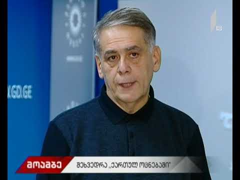 კონსულტაციები „ქართულ ოცნებაში“