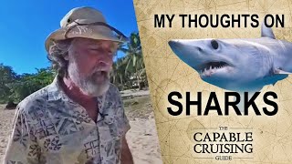 Shark Stories