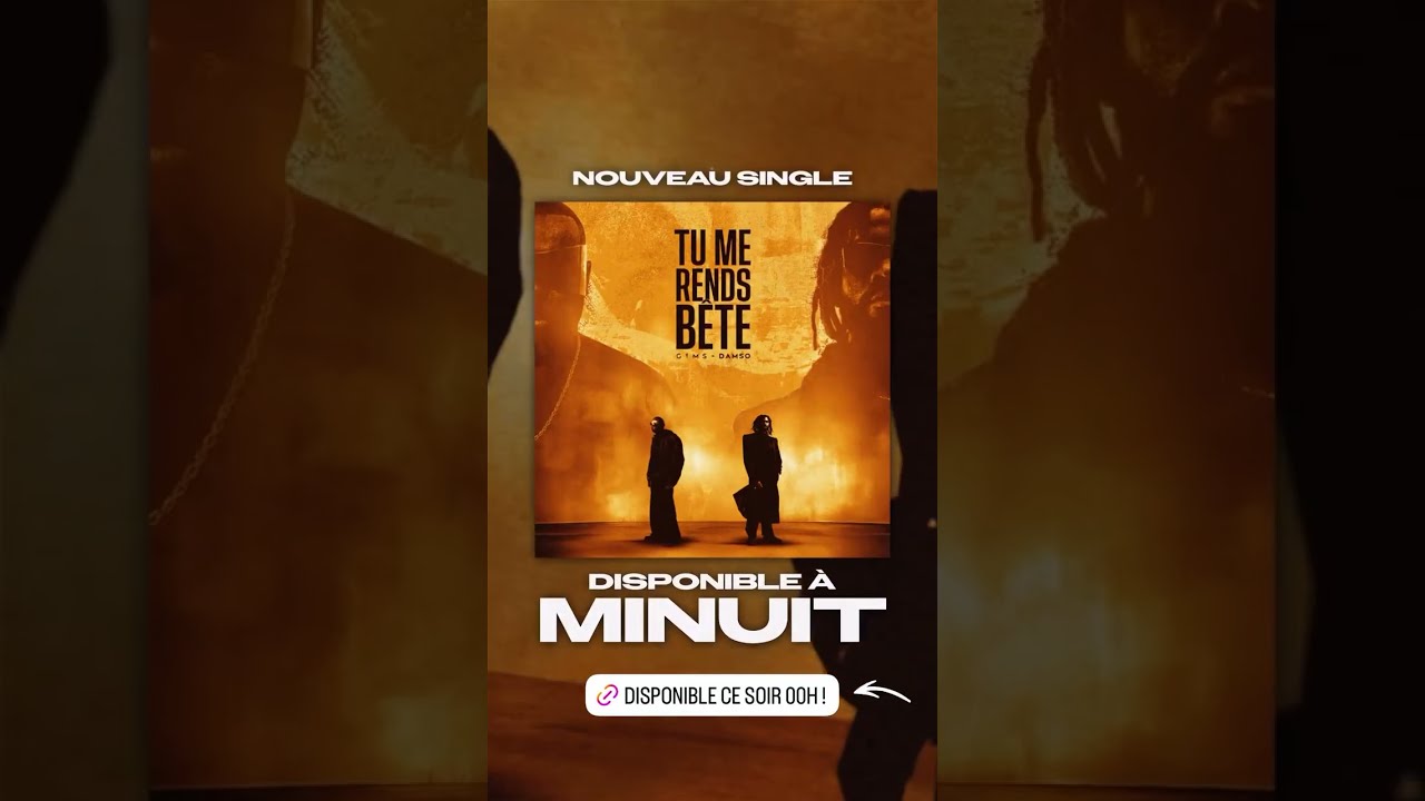 GIMS & Damso - Tu me rends bête 💥