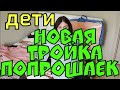 Деревенский дневник очень многодетной мамы - новая тройка попрошаек уже работают | Сплетница