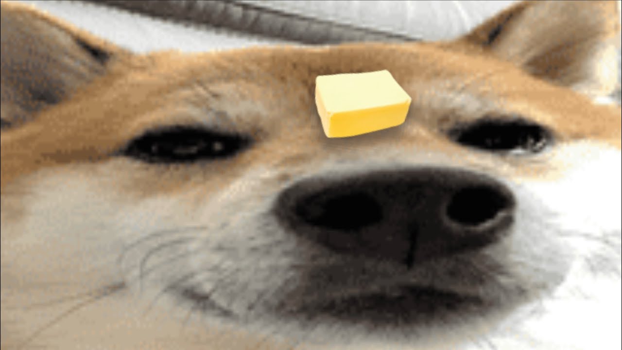 butter dog