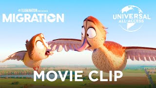 Migration | Too Shy To Go In The Sky | Movie Clip