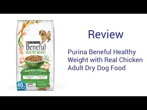purina-beneful-healthy-weight-with-real-chicken-adult-dry-dog-food-review