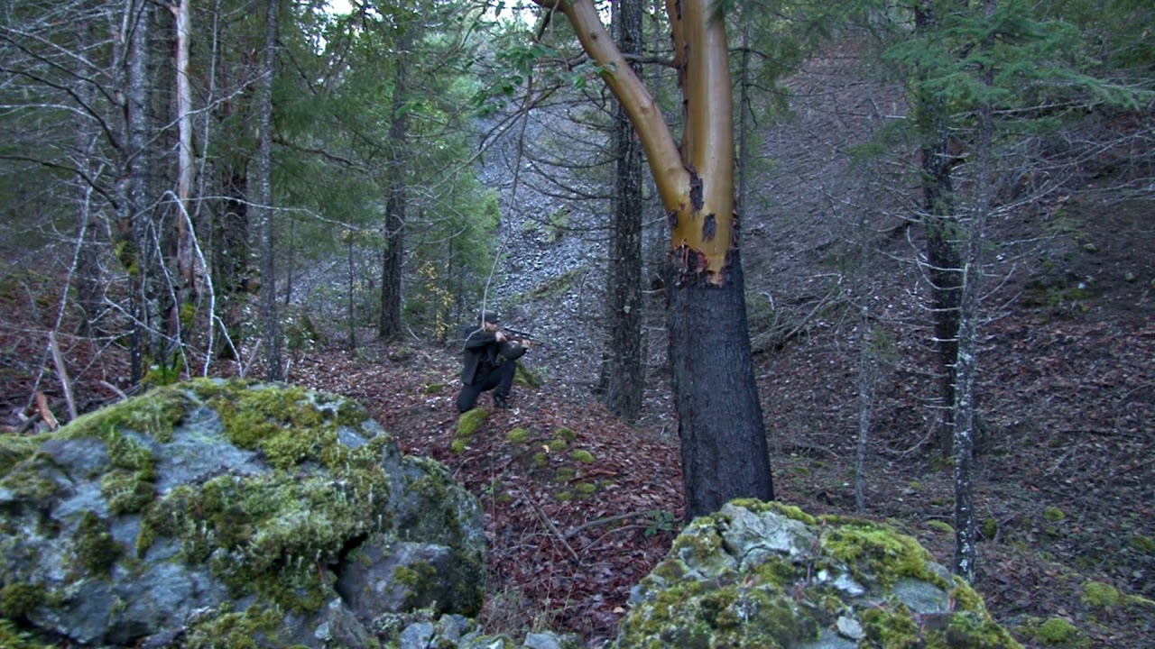 hunter shooting gun in woods YouTube