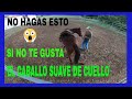 Como trabajar flexiones laterales con caballo EN MOVIMIENTO, PARTE 1 ( SERIE Dia 70 )