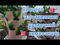 КЛАССНАЯ ИДЕЯ! 👍👍👍ПРОЦЕСС ПОСАДКИ ЦВЕТОЧНОЙ КОМПОЗИЦИИ &quot;КАКТУСОВОЕ ДЕРЕВО&quot;.🧐👍👍