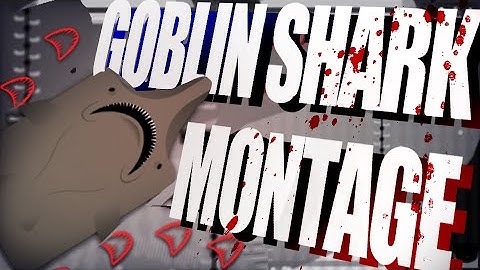 Fresh Goblin Shark Montage | Deeeep.io
