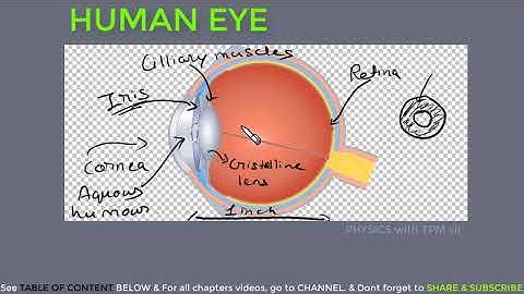 OPTICAL INSTRUMENTS PART 1 HUMAN EYE
