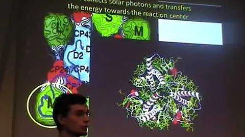 Design Principles in Photosynthetic Light Harvesti...