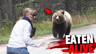 The HORRIFYING Last Minutes of Isabelle Dube EATEN ALIVE By Grizzly Bear!