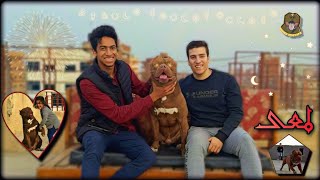 انتا و كلبك مع كريم هشام وكلبه لمعى الأمريكان بولى | الحلقة ٥