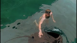SWIMMING WITH STINGRAY