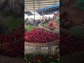 masyaallah #pasar #rejeki #viralvideo #shortvideo