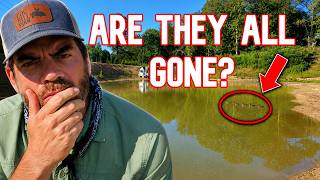 I Held My Breath Before Looking For The Momma Duck & Ducklings!