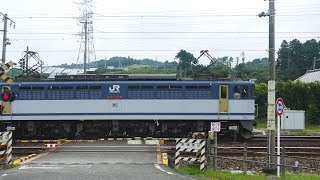 2019/07/13 JR貨物 カナキク午前8時台は貨物列車3本