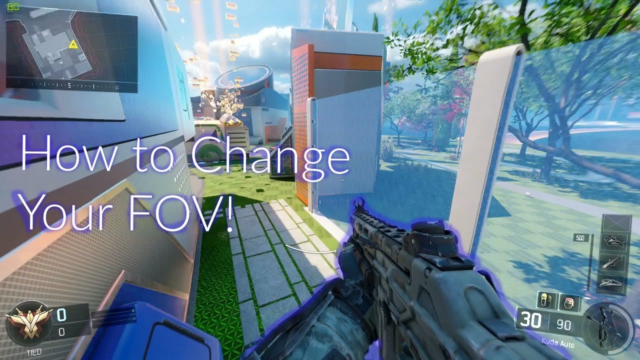 black ops 2 fov changer