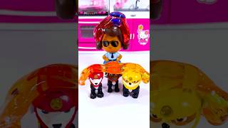 Paw Patrol and friends Toy Fun ASMR#shorts #funny #toys #asmr #pawpatrol #patrick #slime