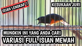 MASTERAN MURAI BATU FULL ISIAN TEMBAKAN MEWAH, ISIAN LENGKAP KESUKAAN JURI - MB RAJA GOMBAL