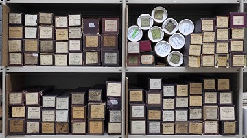 How to visually inspect piano rolls online at the Stanford Libraries