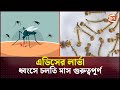 এডিসের লার্ভা ধ্বংসে চলতি মাস গুরুত্বপূর্ণ। Adis | Mosquito | Dengue | Channel 24