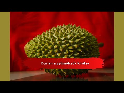 Videó: Durian A Gyümölcsök Királya