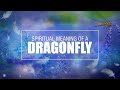 Angel Sign – The Spiritual Meaning of Dragonfly 🌟👼