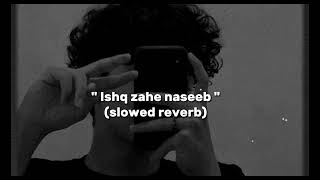 Ishq Zahe Naseeb ( SLOWED REVERB) Resimi