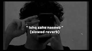 Ishq Zahe Naseeb ( SLOWED REVERB)