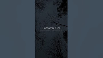 سورة النساء 134 Surah An-Nisa @NoCreditQuranOverlay #qurancadence