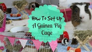 How To: SET UP A GUINEA PIG CAGE | Hamster HorsesandCats