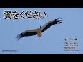 【カバーしてみました】♫翼をください 作詞:山上路夫 作曲:村井邦彦 英語版訳詞:Gayle Bauldwell 歌:赤い鳥