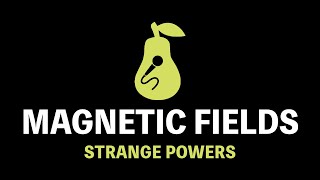 Magnetic Fields - Strange Powers (Karaoke)