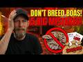 Don't Breed Boas Until You Watch This | Every Boa Breeder Have Made These Misstakes