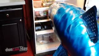 Shark Week - Feeding Time - Duncan/Day