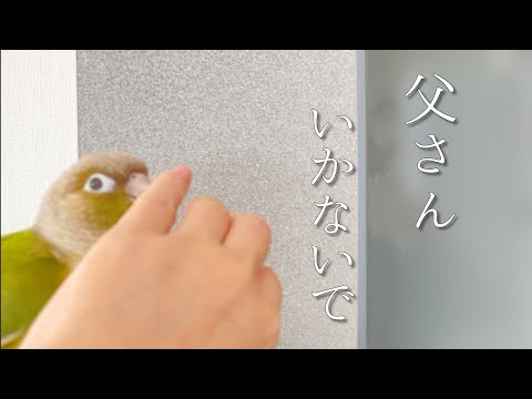 びっくりしたな、もう / 『びっくりしたな、もう』 びっくりしたな、もう / 『びっくりしたな、もう』 びっくりした