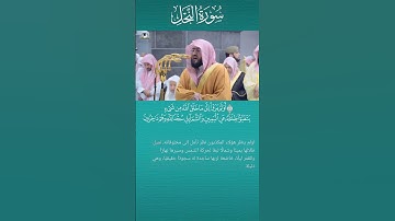 أولم يرو إلى ماخلق الله من شئ #بندر_بليلة #القرآن_الكريم #الحرم_المكي #الحرمين_الشريفين #سورة النحل