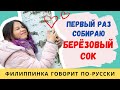 😋Как собирать берёзовый сок - понравился ли он иностранке? Филиппинка пробует его первый раз