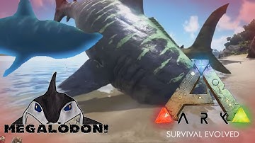 Ark Survival Evolved | Part 2 | I Killed a Megalodon