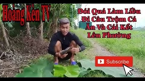 Đói Quá Làm Liều Đi Câu Trộm Cá Và Cái Kết || Hoàng Kèn TV