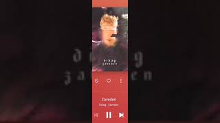 Dibag - Zaveden 2019