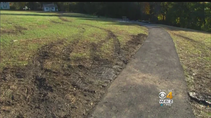 Tire Tracks Damage Weymouth Park Dedicated To Offi...
